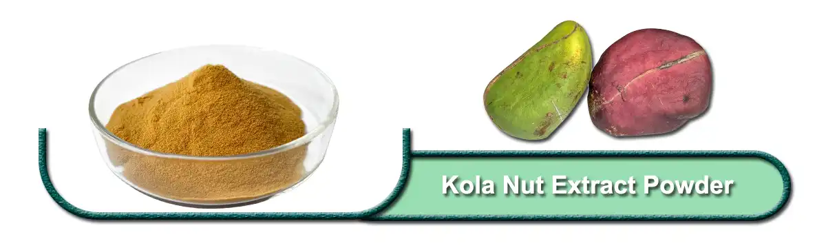 Kola Nut Extract .jpg